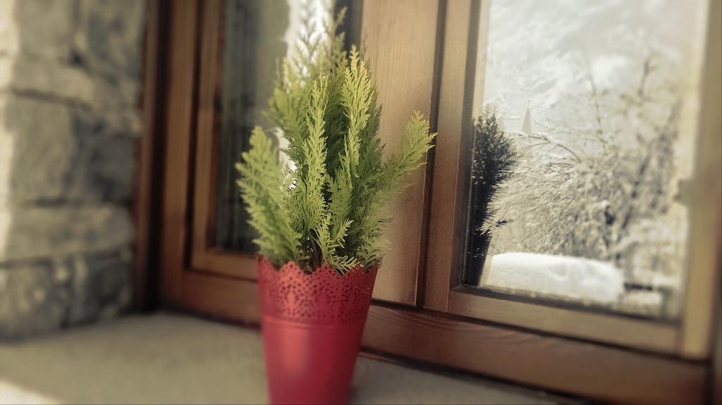 Residence Casa Dei Fiori Alagna Valsesia Szoba fotó