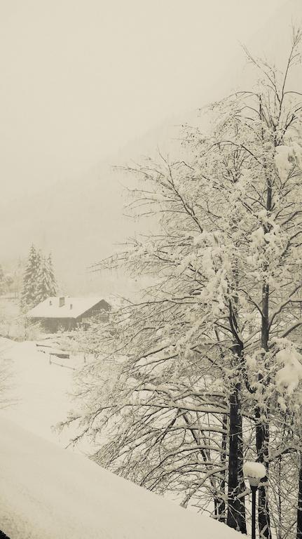 Residence Casa Dei Fiori Alagna Valsesia Kültér fotó