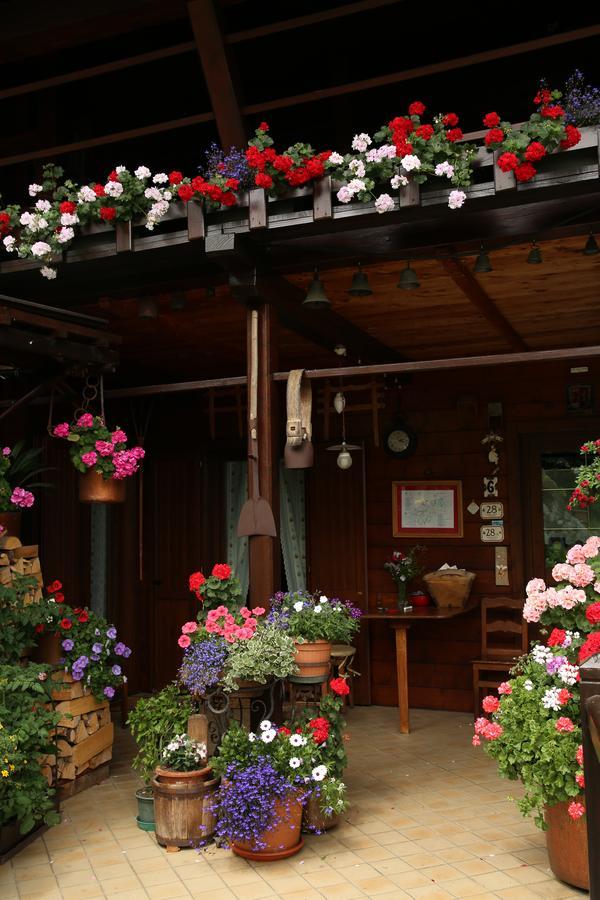 Residence Casa Dei Fiori Alagna Valsesia Kültér fotó