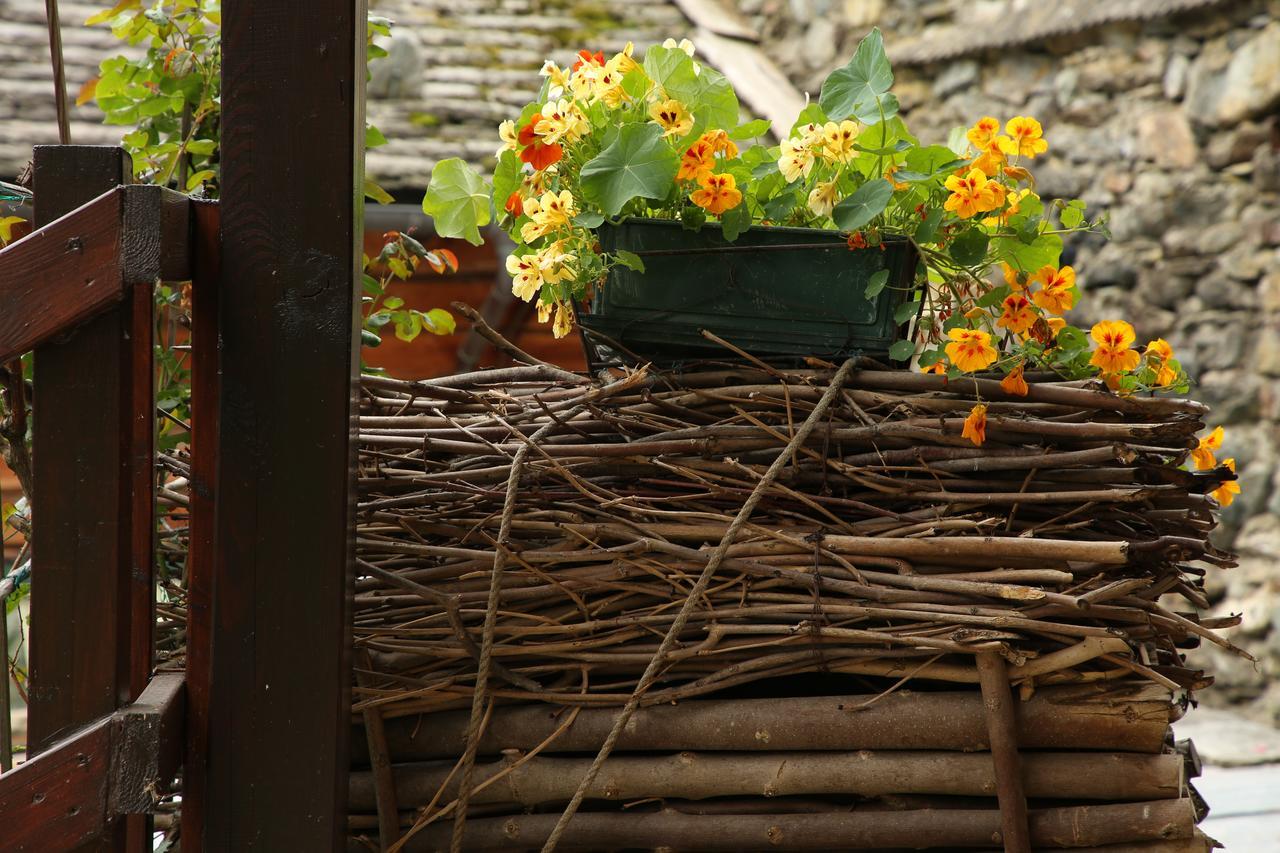 Residence Casa Dei Fiori Alagna Valsesia Kültér fotó